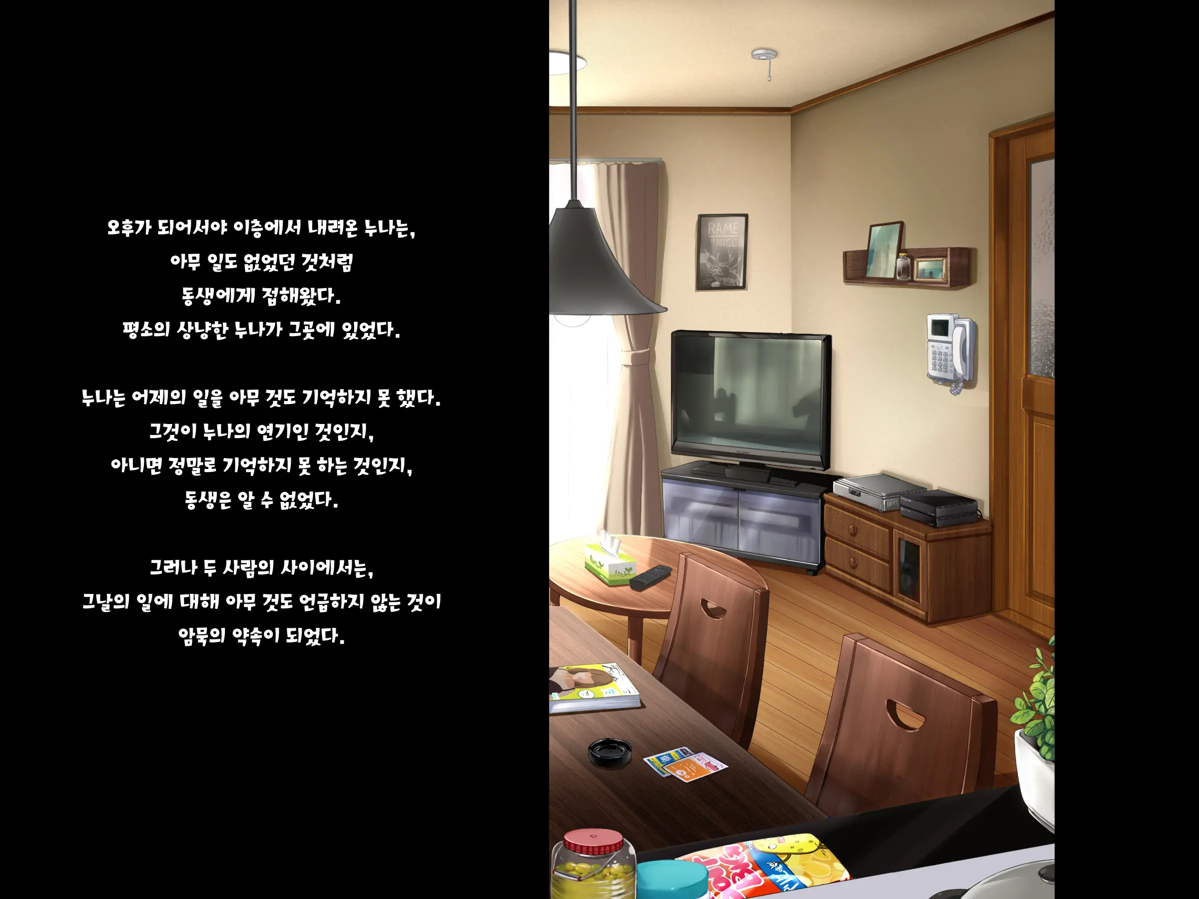 Aru Hi, Otouto Ga Nozokimita No Wa Furyou-Tachi Ni Konsui Rape Sareru Daisuki Datta Ane No Sugata Datta. | 어느날, 동생이 엿본 것은 불량배들에게 혼수 레〇프 당하는 사랑했던 누나의 모습이었다.